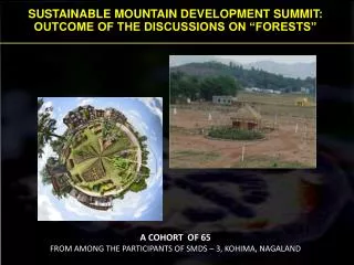 SUSTAINABLE MOUNTAIN DEVELOPMENT SUMMIT: OUTCOME OF THE DISCUSSIONS ON “FORESTS”