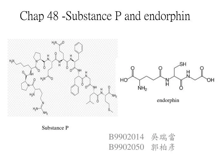 chap 48 substance p and endorphin