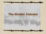 An Overview of the U.S. Stocker Industry and Its Role in Beef Production** - slide 1