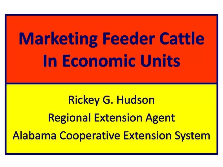 marketing feeder cattle in economic units