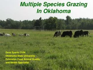 Multiple Species Grazing In Oklahoma