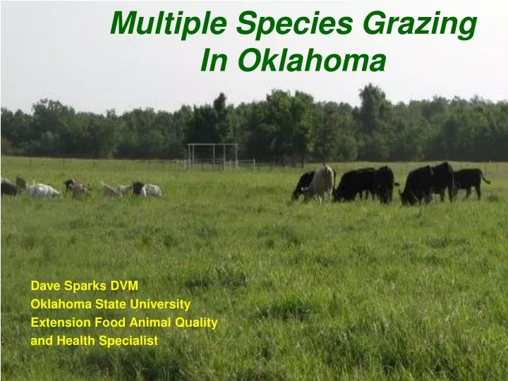 multiple species grazing in oklahoma
