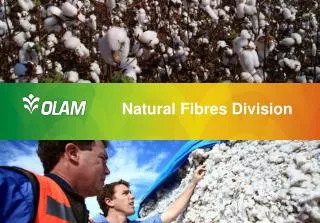 Natural Fibres Division