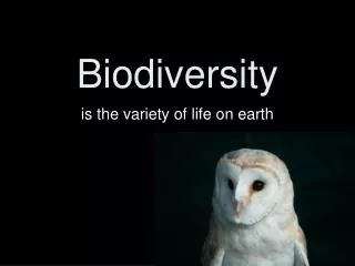 Biodiversity