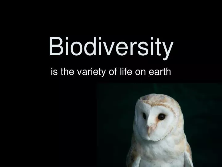 biodiversity