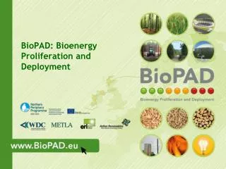 BioPAD: Bioenergy Proliferation and Deployment