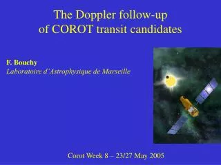 The Doppler follow-up of COROT transit candidates