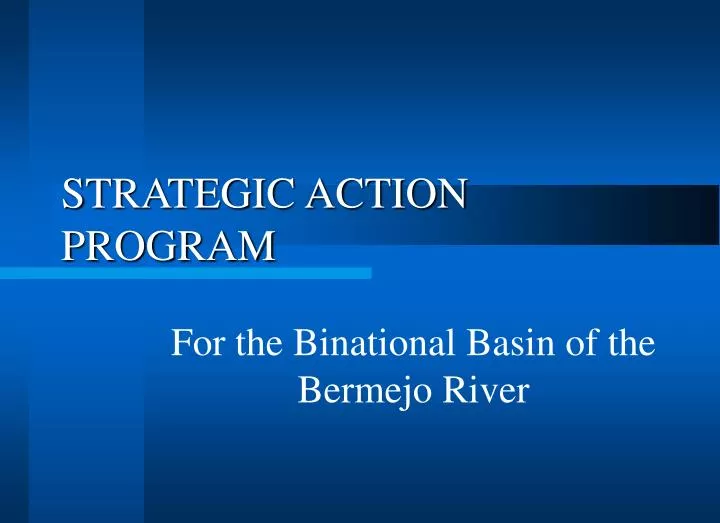 strategic action program