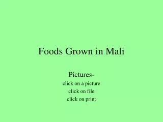 Foods Grown in Mali