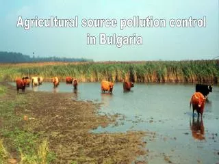 Agricultural source pollution control in Bulgaria