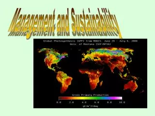 Management and Sustainability