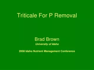 Triticale For P Removal