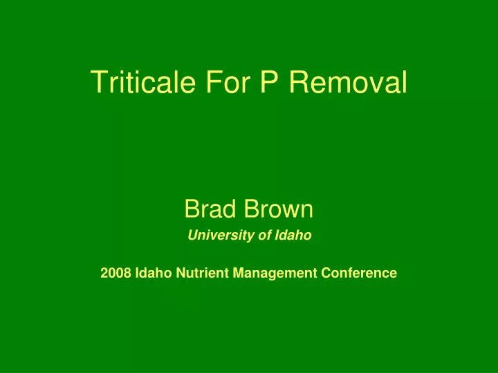 triticale for p removal