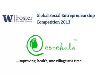 Global Social Entrepreneurship Competition 2013