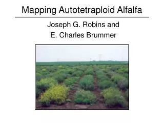 Mapping Autotetraploid Alfalfa