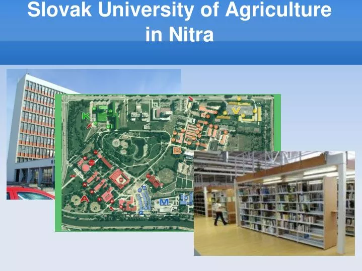 slovak university of agriculture in nitra