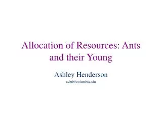 Allocation of Resources: Ants and their Young