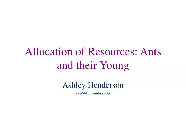 allocation of resources ants and their young