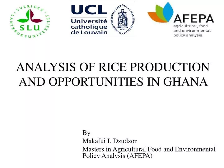 analysis of rice production and opportunities in ghana