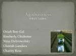 Agribusiness - slide 1