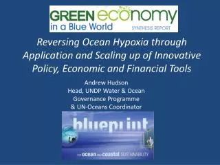 Reversing Ocean Hypoxia through Application and Scaling up of Innovative Policy, Economic and Financial Tools