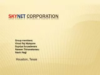 Sky Net Corporation
