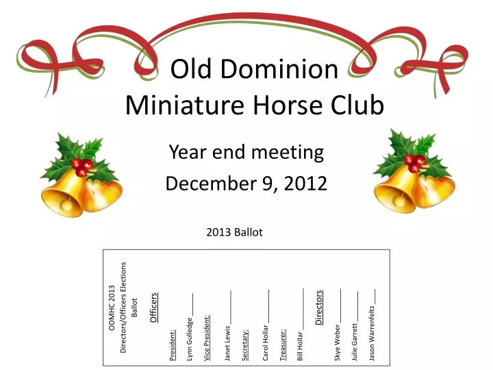 old dominion miniature horse club