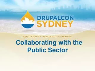 Collaborating with the Public Sector