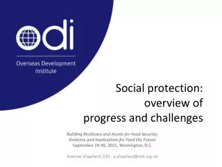 Social protection: overview of progress and challenges