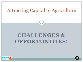 Attracting Capital to Agriculture