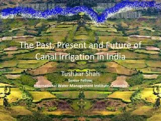 The Past, Present and Future of Canal Irrigation in India
