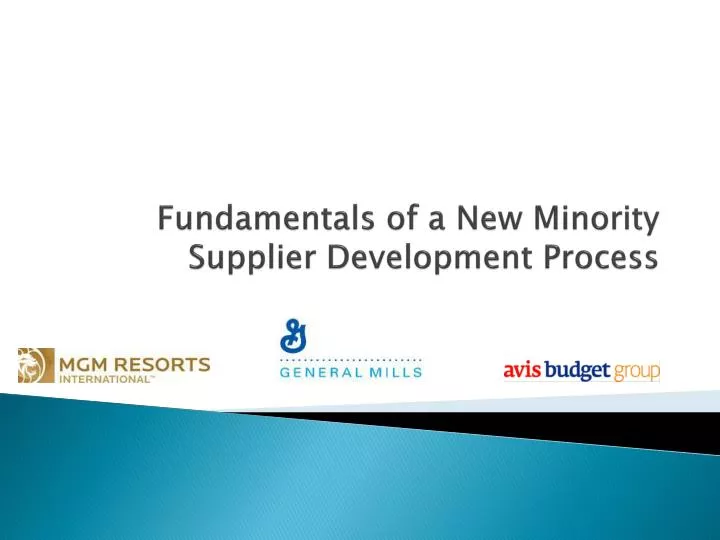 fundamentals of a new minority supplier development process