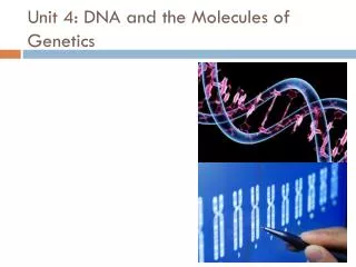 Unit 4: DNA and the Molecules of Genetics