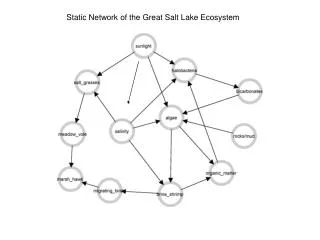 Static Network of the Great Salt Lake Ecosystem