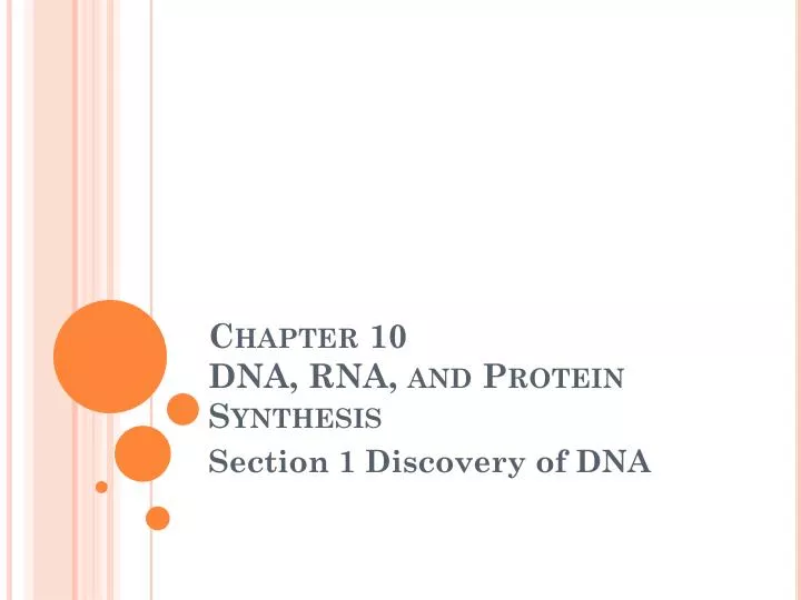 chapter 10 dna rna and protein synthesis