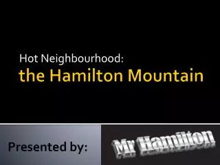 the Hamilton Mountain