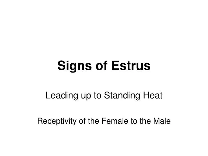 signs of estrus