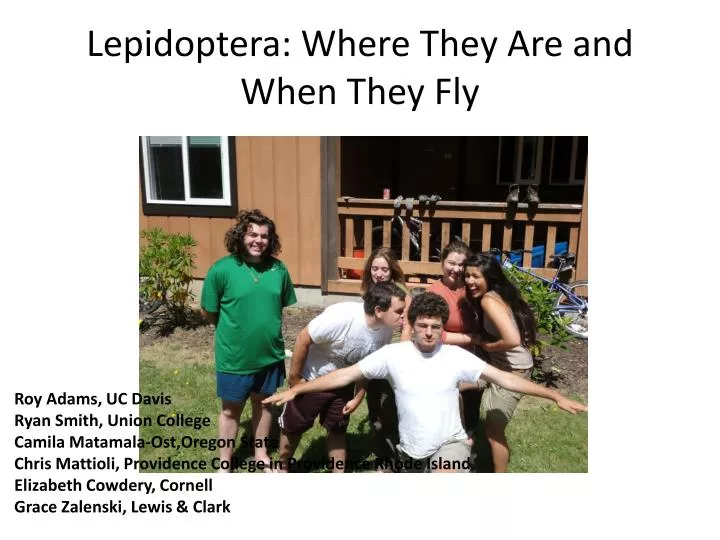lepidoptera where they are and when they fly