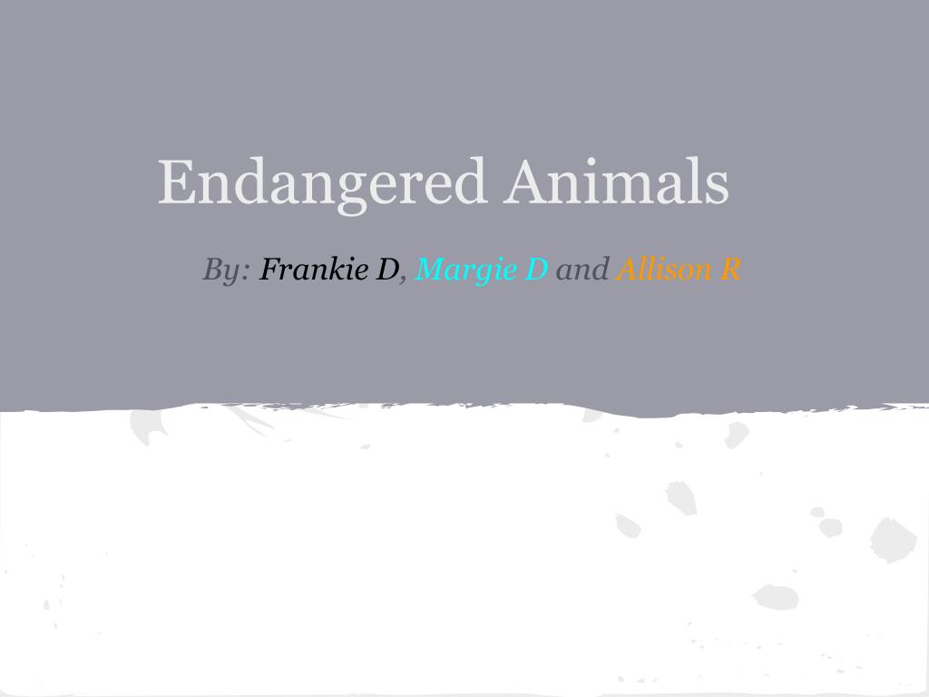 PPT - Endangered Animals PowerPoint Presentation, free download - ID ...