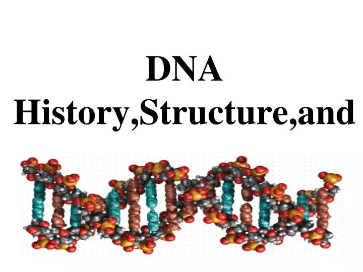 dna history structure and
