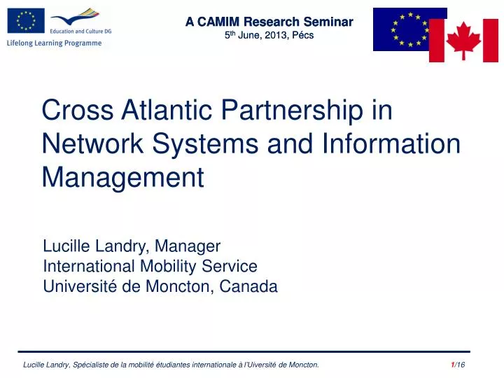 cross atlantic partnership in network systems and information management