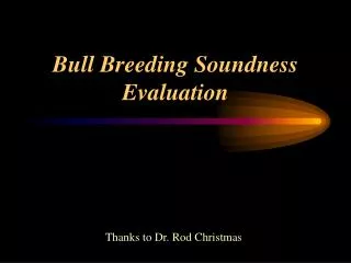 Bull Breeding Soundness Evaluation