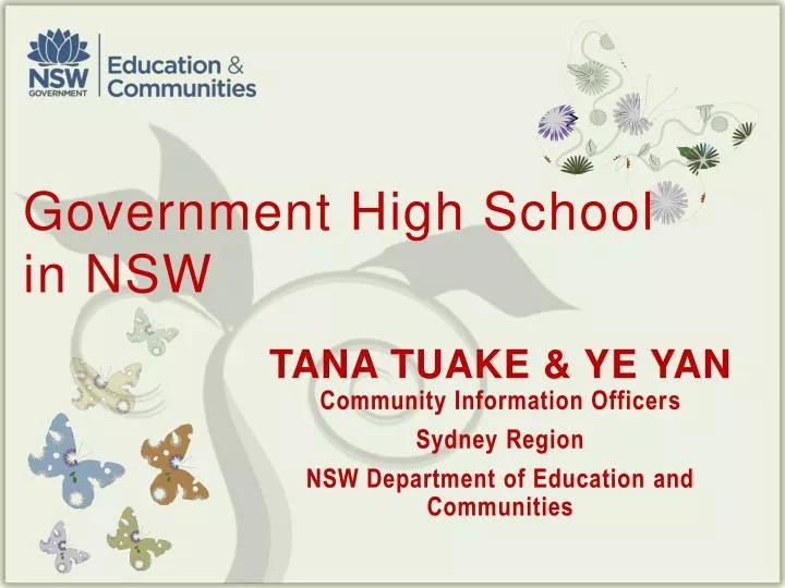 government high school in nsw