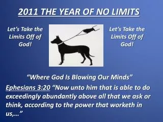 2011 THE YEAR OF NO LIMITS