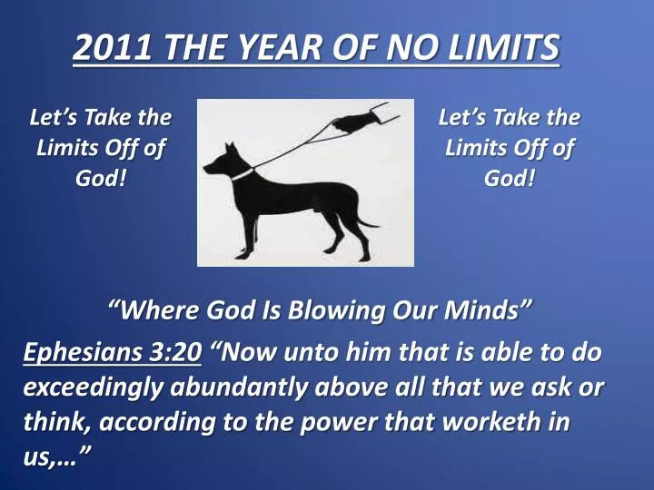 2011 the year of no limits