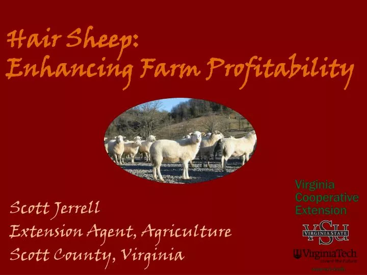 hair sheep enhancing farm profitability