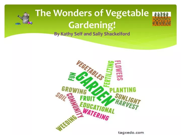 the wonders of vegetable gardening by kathy self and sally shackelford