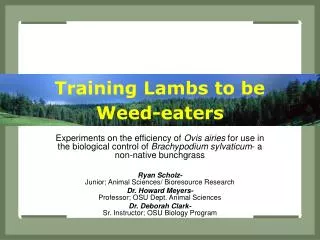 Training Lambs to be Weed-eaters