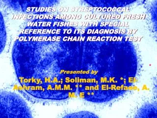 Presented by Torky, H.A.; Soliman, M.K. *; El-Ashram, A.M.M. ** and El-Refaee, A. M. E **