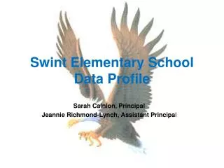 Swint Elementary School Data Profile